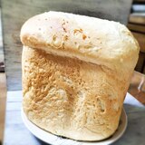 大人のブリオッシュ風酒粕パン